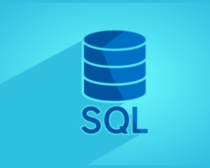 learn SQL now